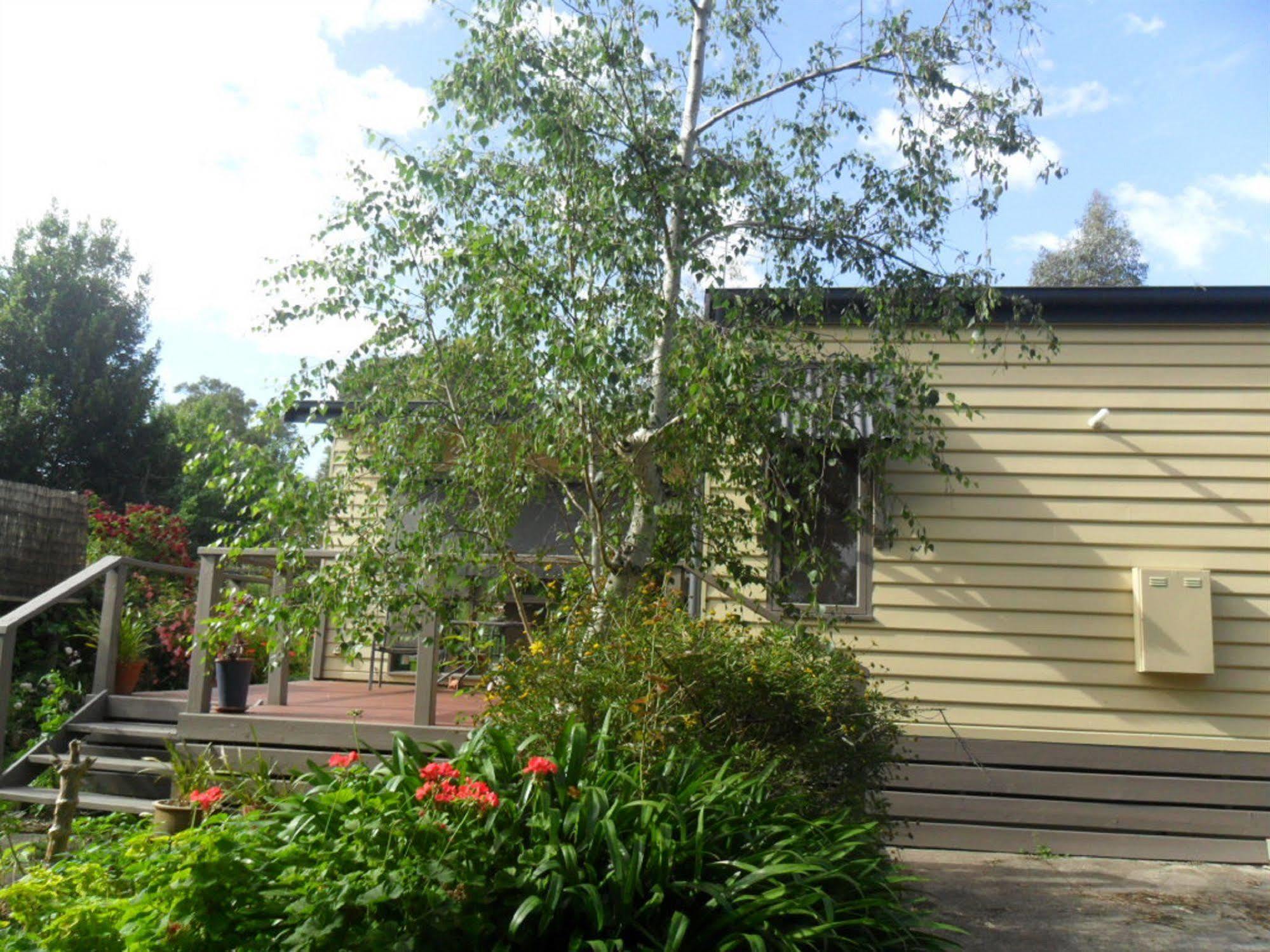 Australian Home Away @ Wonga Park Brushy Creek Exteriör bild