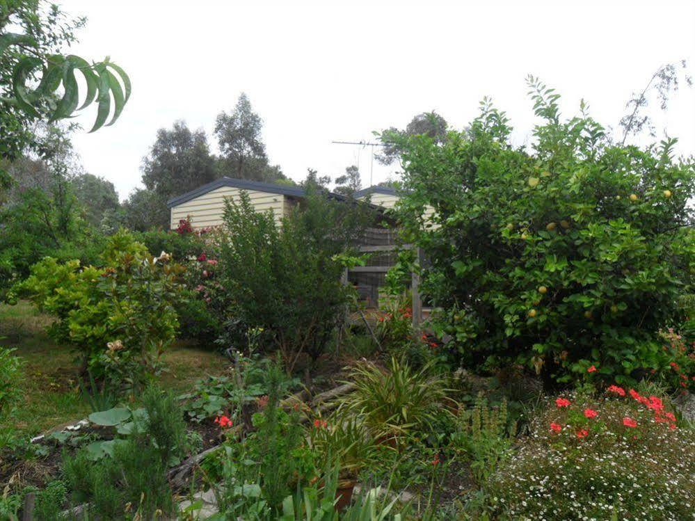 Australian Home Away @ Wonga Park Brushy Creek Exteriör bild